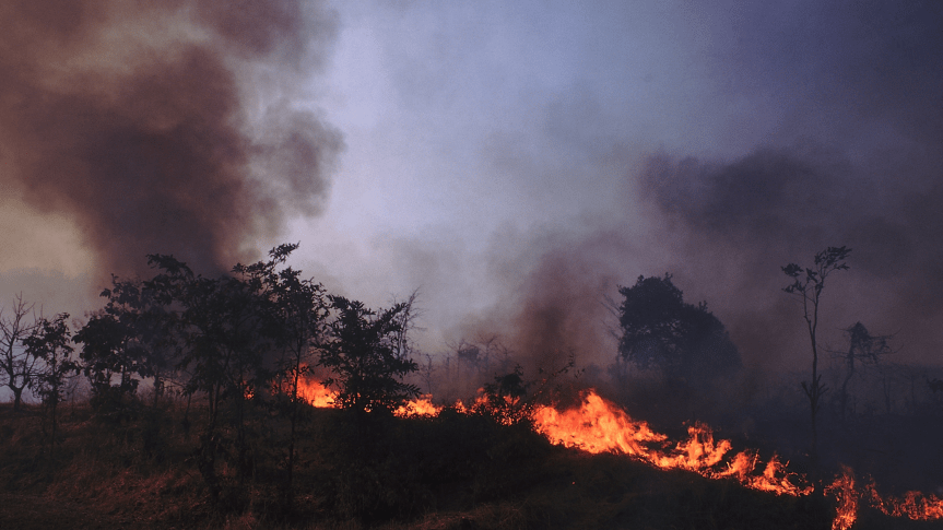 Efforts and Strategy to Tackle the Menace of Forest&nbsp;Fires