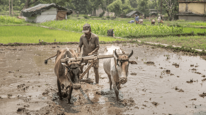 Prime Minister’s address at Natural Farming&nbsp;Conclave