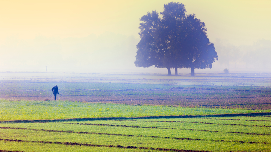 Food Security – Ending Hunger by&nbsp;2030